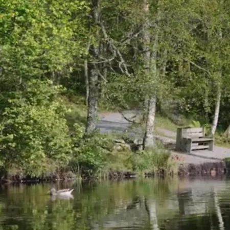 Apartmán Luxury Bergen